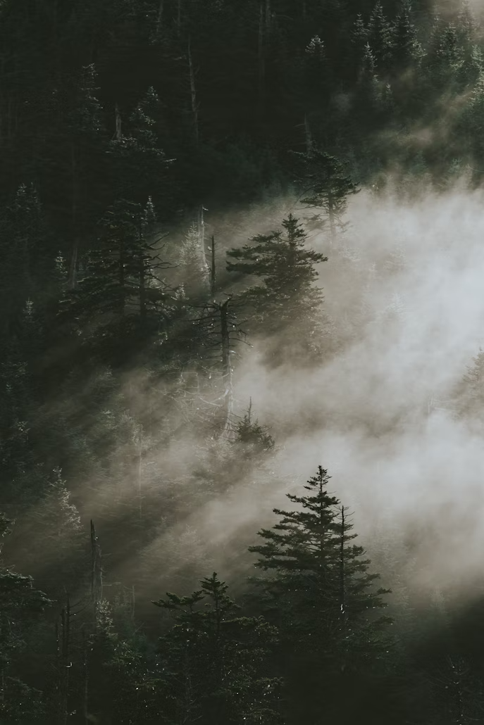 Great Smoky Mountains National Park Travel Guide