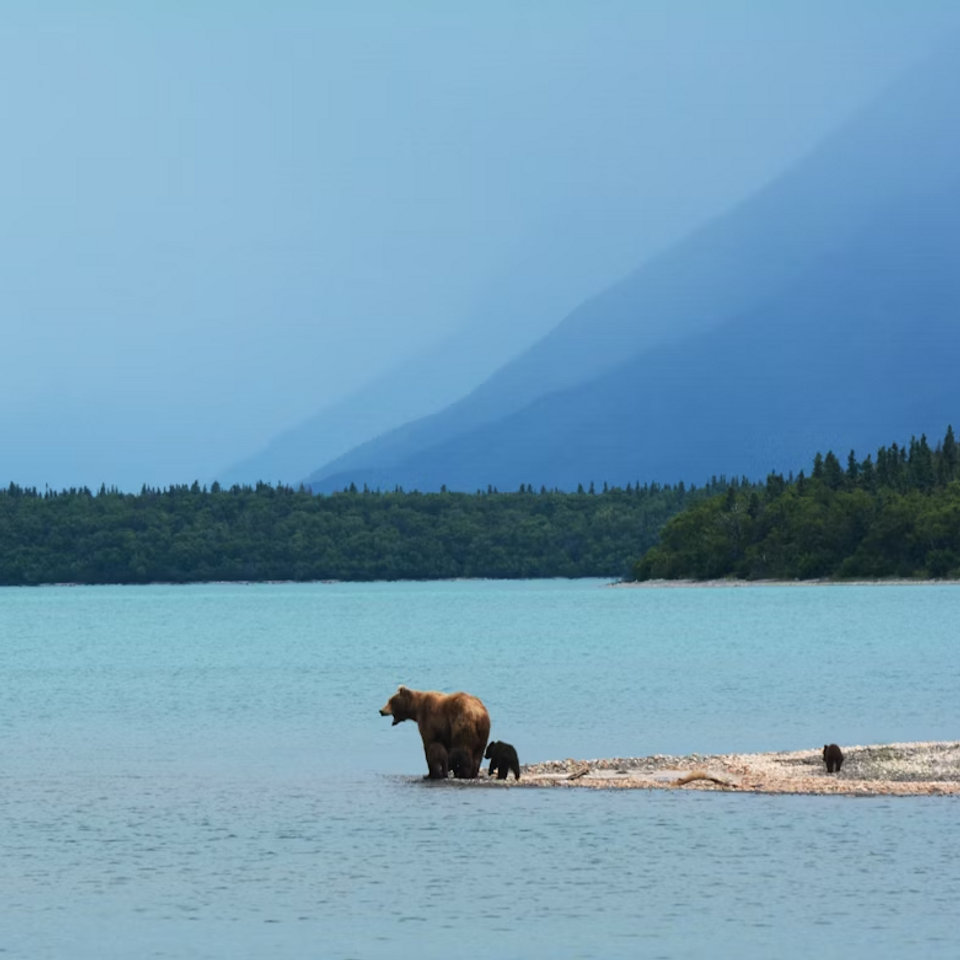 Katmai National Park Travel Guide
