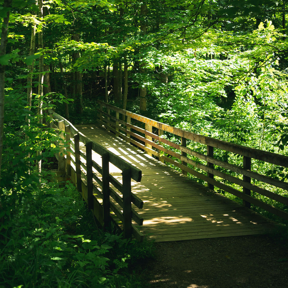 Cuyahoga Valley National Park Travel Guide, bridge
