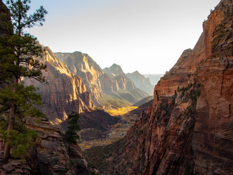 Legacy of the Land: A Journey Through Zion National Park
