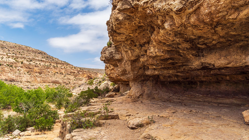 Carlsbad Caverns National Park Travel Guide, trail