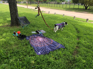 Relaxing locally outside