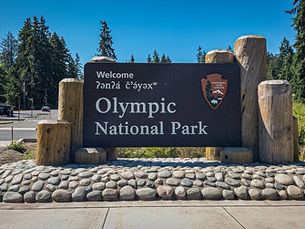 The Wild Pacific at Olympic National Park