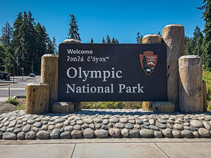 The Wild Pacific at Olympic National Park