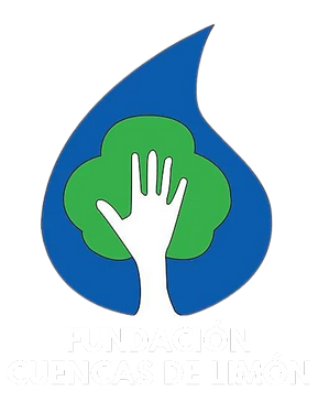 Fundacion logo no background (4).png