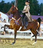 Alex21-MonEve-B7486-Crystal Alexander-web.jpg