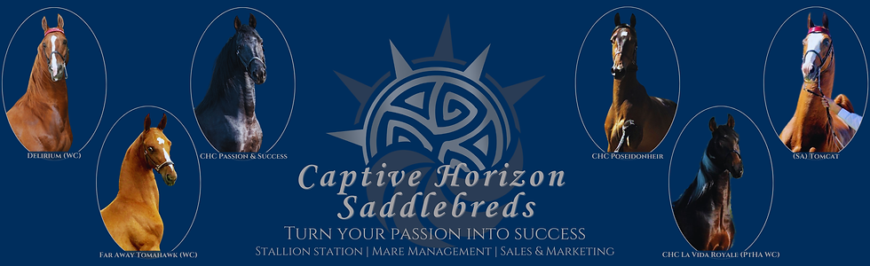 WebsiteBanner (5).png