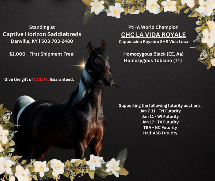 CHC LA VIDA ROYALE (PtHA WC)