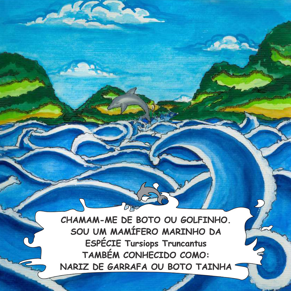 Miniatura: Livro infantil - Os Botos
