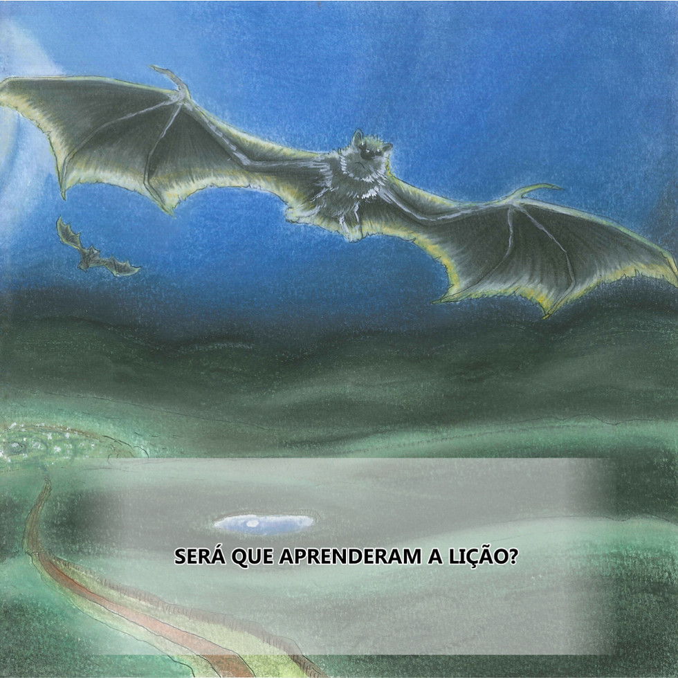 Miniatura: Livro infantil - Os Morcegos