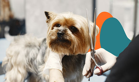 Mobile Pet Groomers Van Insurance