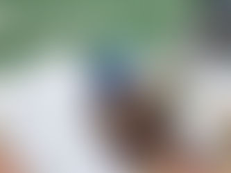 Release checklist. Impound Release Insurance with UK Sure