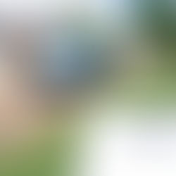 Short-term van cover. Van Insurance for a Month