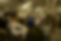 BSB3KAOJWFFRZEKESEFB7THE6U.jpg