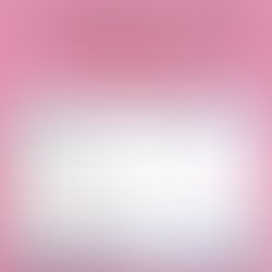 PRESTAÇÃO DE CONTAS FEVEREIRO 2026