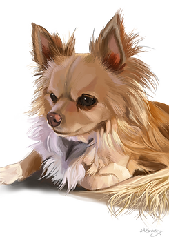 Toby