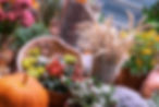 Herbstbild_Heubode.jpg