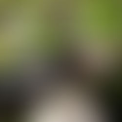 WOHGA Winterthur 2025