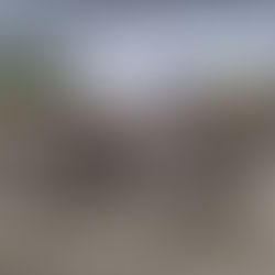 Ingenieur-, Planungs- und Architekturbüro Forster & Linsi AG