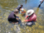 The Great Fossil Hunt 2026 - Semi-Aquatic Paleontology Dig