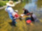The Great Fossil Hunt 2026 - Semi-Aquatic Paleontology Dig