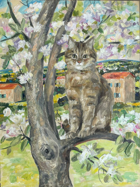 Котик на дерве