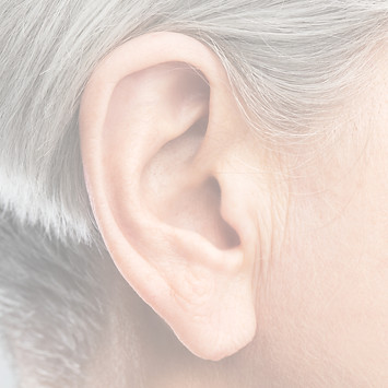 Ear_edited.jpg
