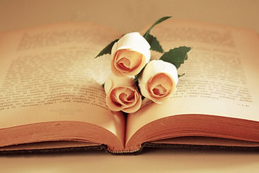 Roses on a book