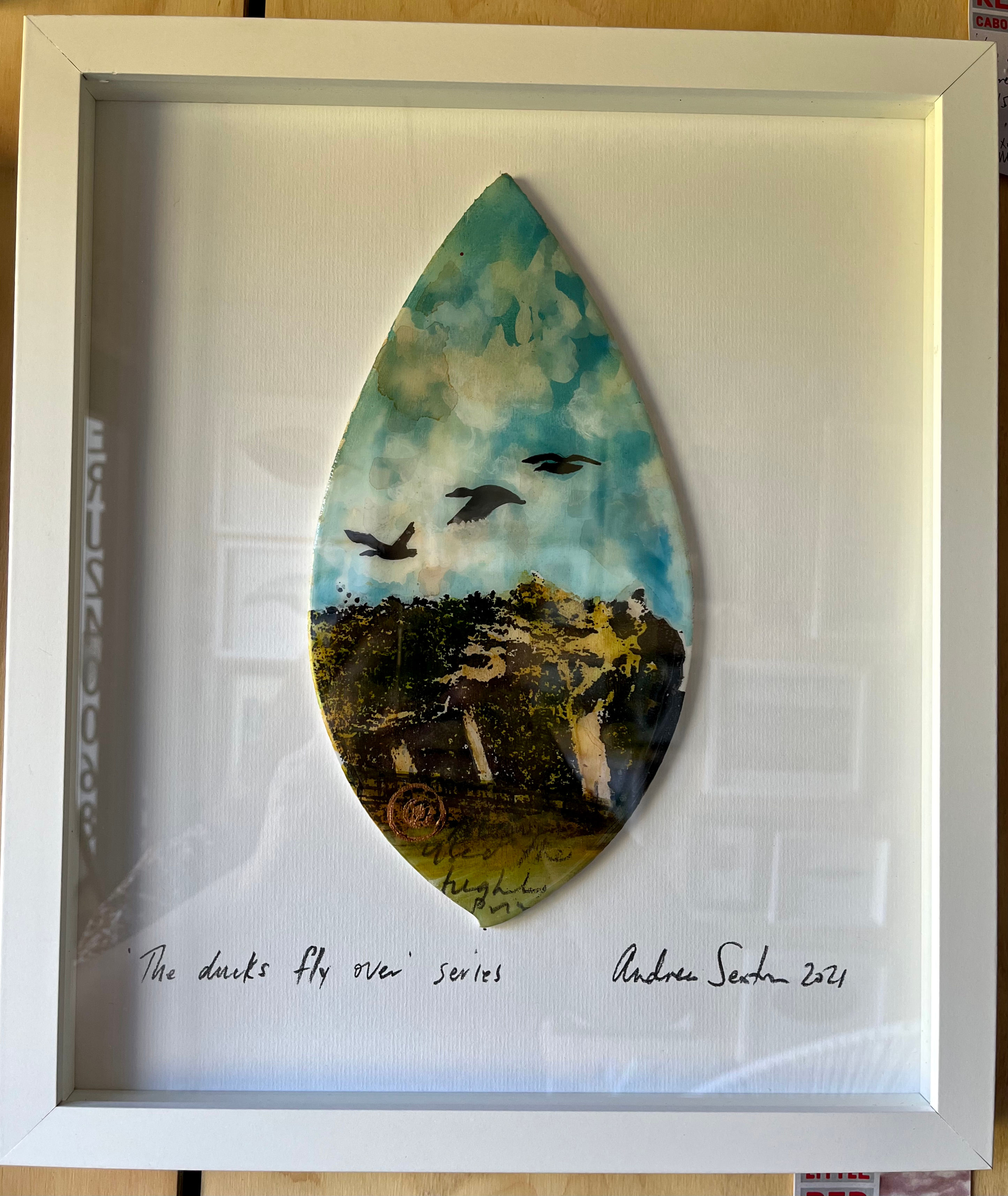 The Ducks Fly Over Series #2