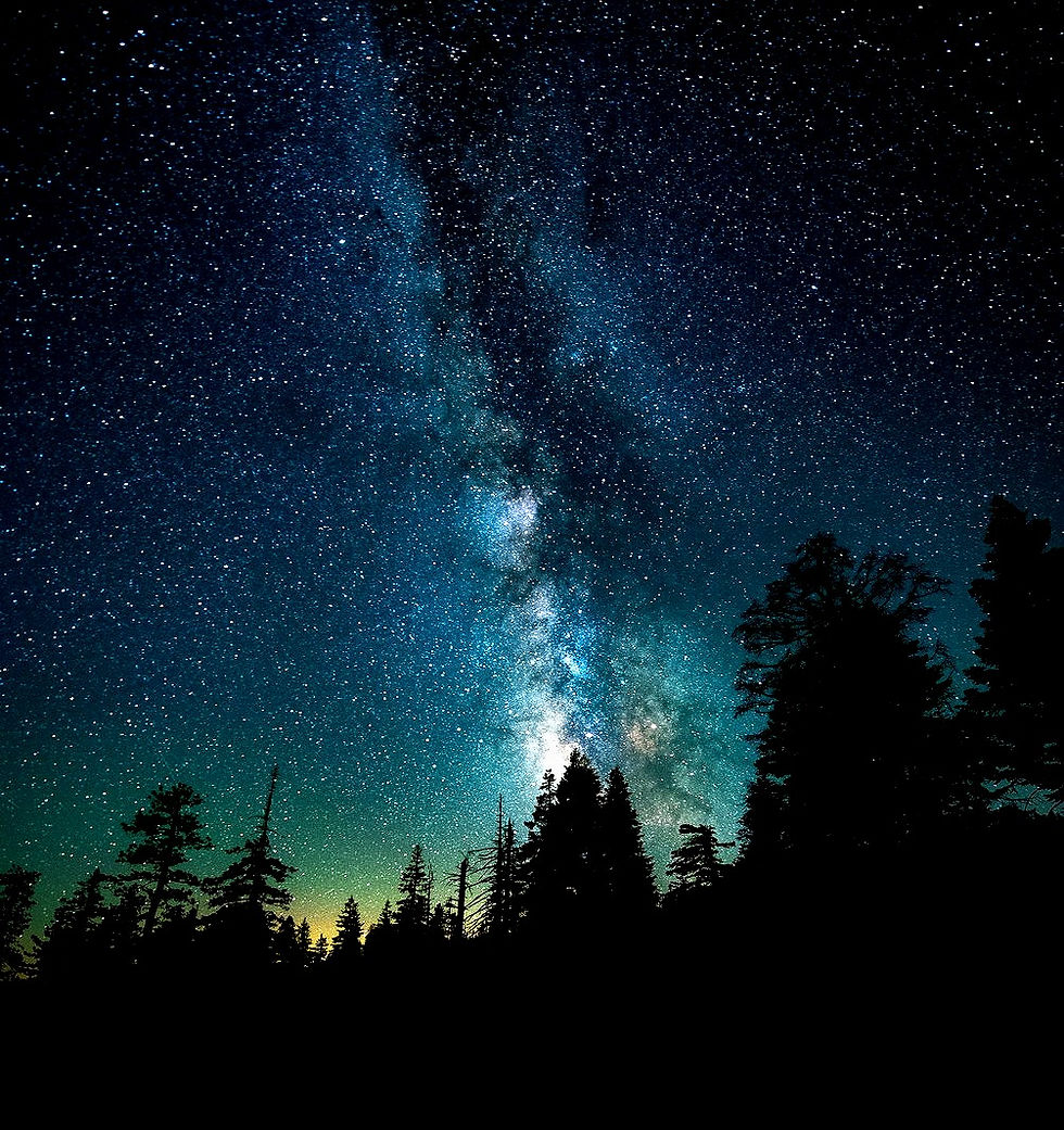 Night-Stars-Forests_edited.jpg