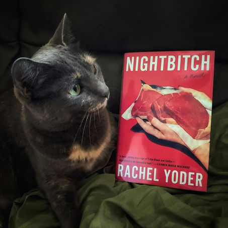 InstaReview: Nightbitch by Rachel Yoder