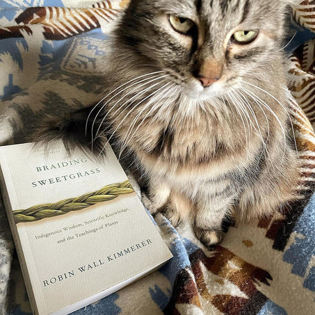 InstaReview: Braiding Sweetgrass by Robin Wall Kimmerer