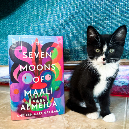 InstaReview: The Seven Moons of Maali Almeida by Shehan Karunatilaka