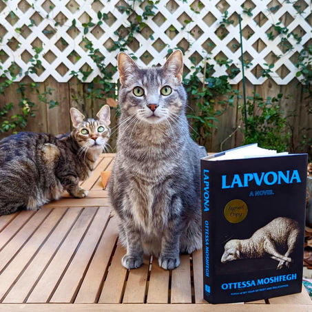 InstaReview: Lapvona by Otessa Mashfegh