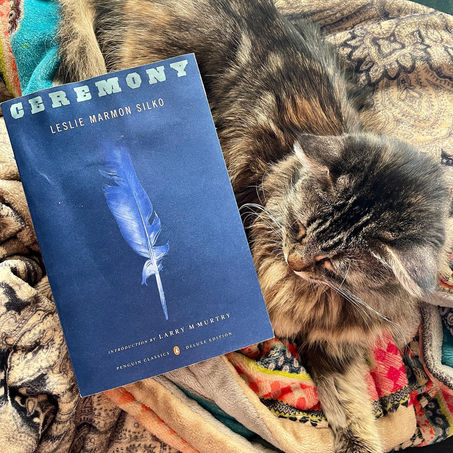 InstaReview: Ceremony by Leslie Marmon Silko