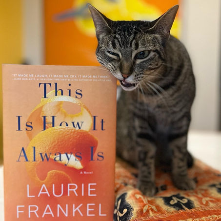 InstaReview: This Is How It Always Is by Laurie Frankel