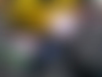 Climate Strike Protests bring D.C. to Standstill