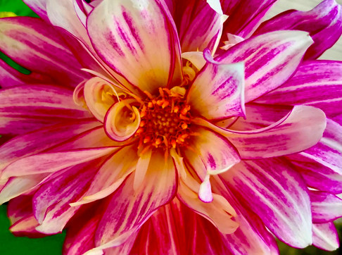 b9b8ee_85a32362f19a4b07848934b2012818df_mv2_d_3040_2263_s_2.jpeg