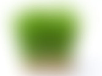 Tray-Grown vs. Field-Grown: Why Outdoor-Harvested Cereal Grass Outperforms Juice-Bar Alternatives in Finished Formulations