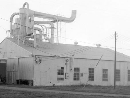 Scientific Heritage: 90+ Years of Wheatgrass Research, 50 Years of Pines Ingredient Supply (From Dr. Schnabel to Modern Nutritional Science)