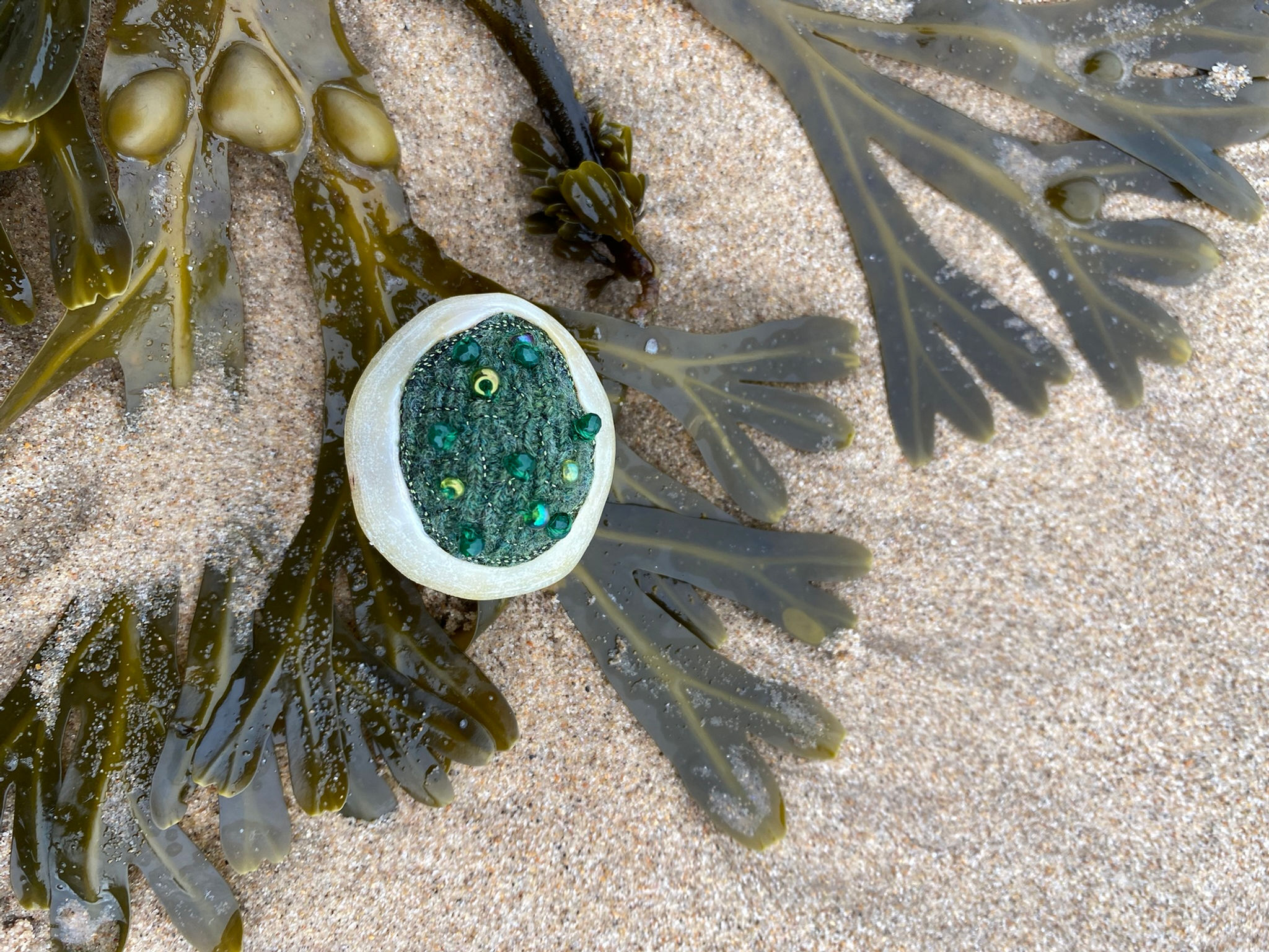 Limpet Brooch with Aventurine