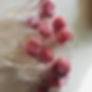 Vase of cake pops ( small