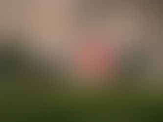 Trade In Your Old Generator and Save $1,000 on a KOHLER Home Standby Generator