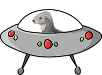 image-removebg-preview (68).png
