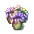 anemone.png