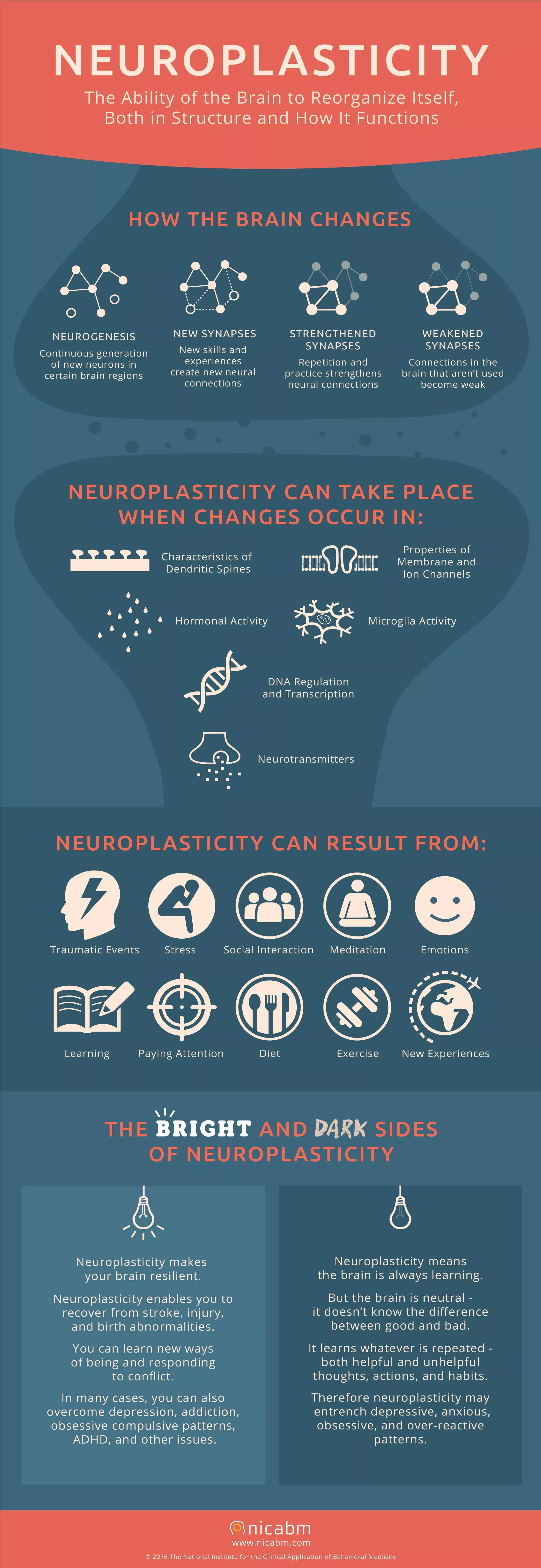 NICABM-InfoG-Neuroplasticity.webp