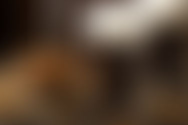 The cost of freedom - Ed's letter