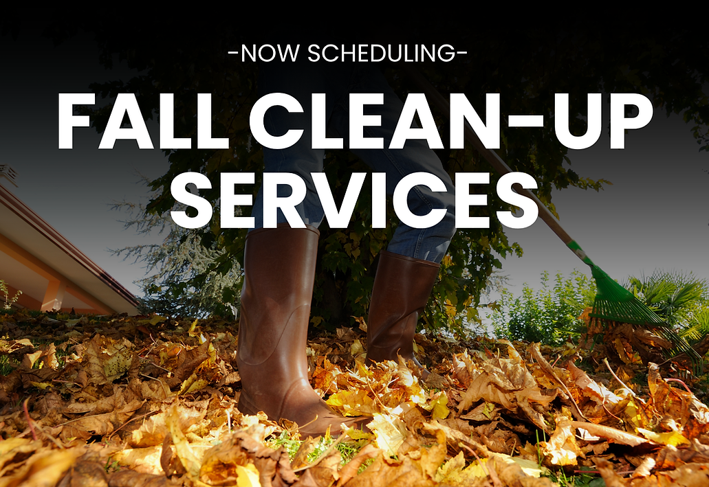 Mayscape Services Fall Clean Up.png