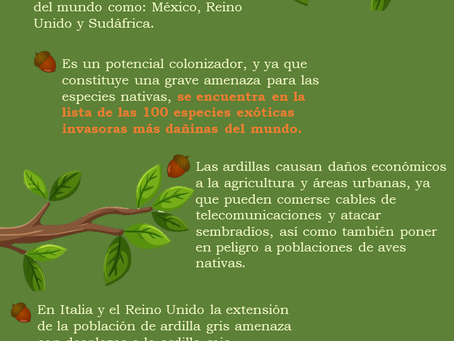 Un carismático invasor