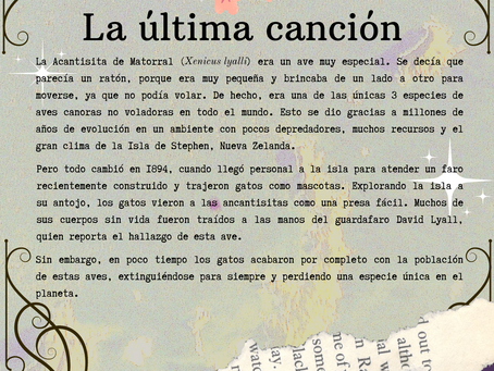 La última canción